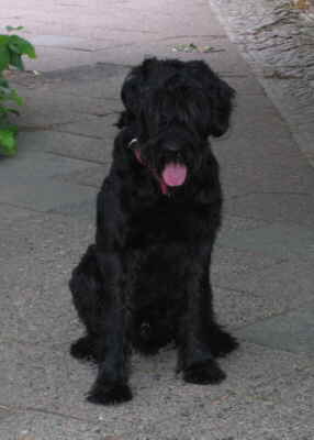 IMG_0240 Mittlere Webansicht