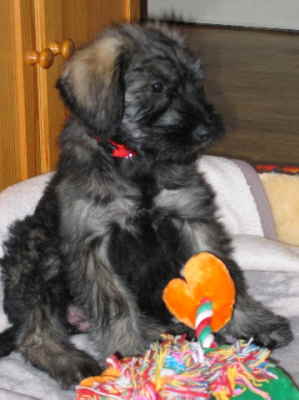 IMG_0718 Mittlere Webansicht