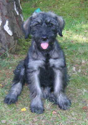 IMG_0769 2 Mittlere Webansicht