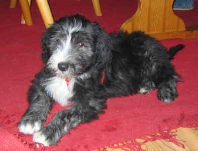 IMG_0964 Mittlere Webansicht