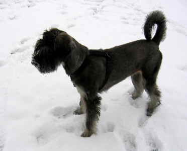 IMG_0994 Mittlere Webansicht