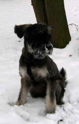 IMG_0997 Mittlere Webansicht