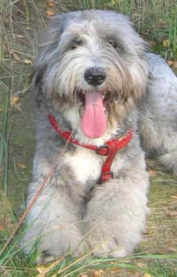 IMG_1325 2 Mittlere Webansicht