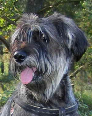 IMG_1327 Mittlere Webansicht