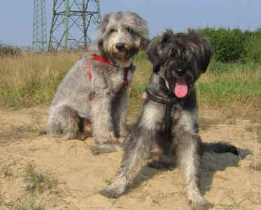 IMG_133 Mittlere Webansicht